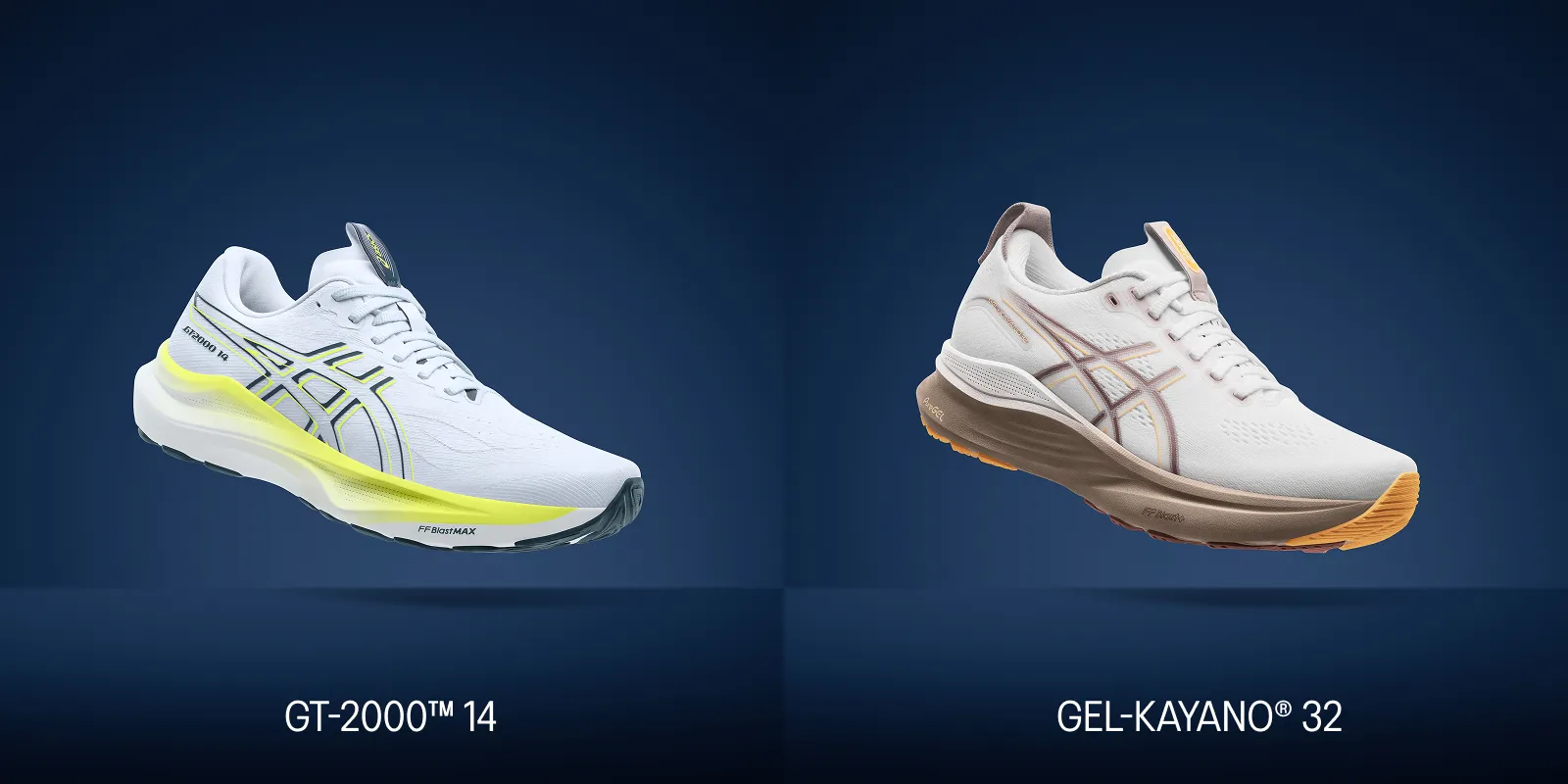 ASICS GT-2000™ 14: Everything You Need to Know
